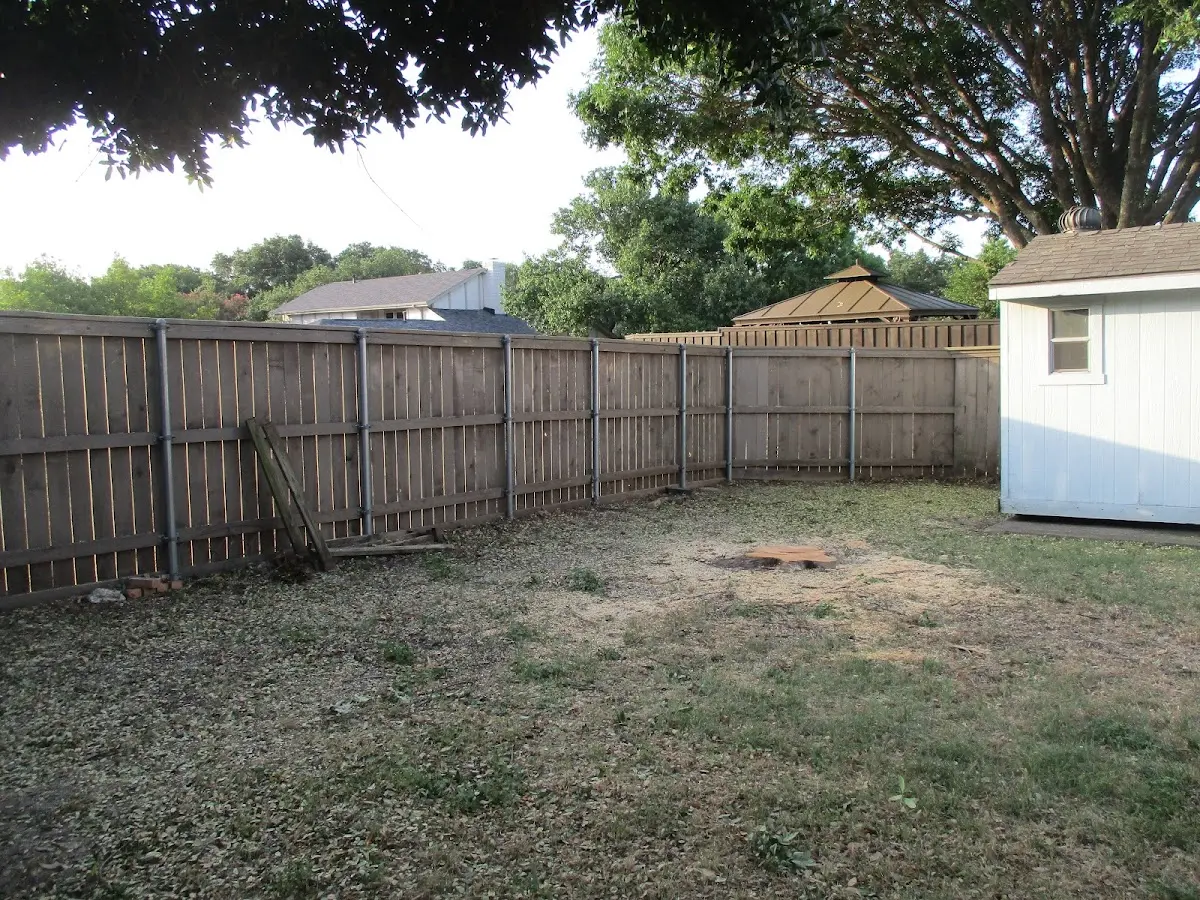 Cleared yard after professional tree removal in Ferndale